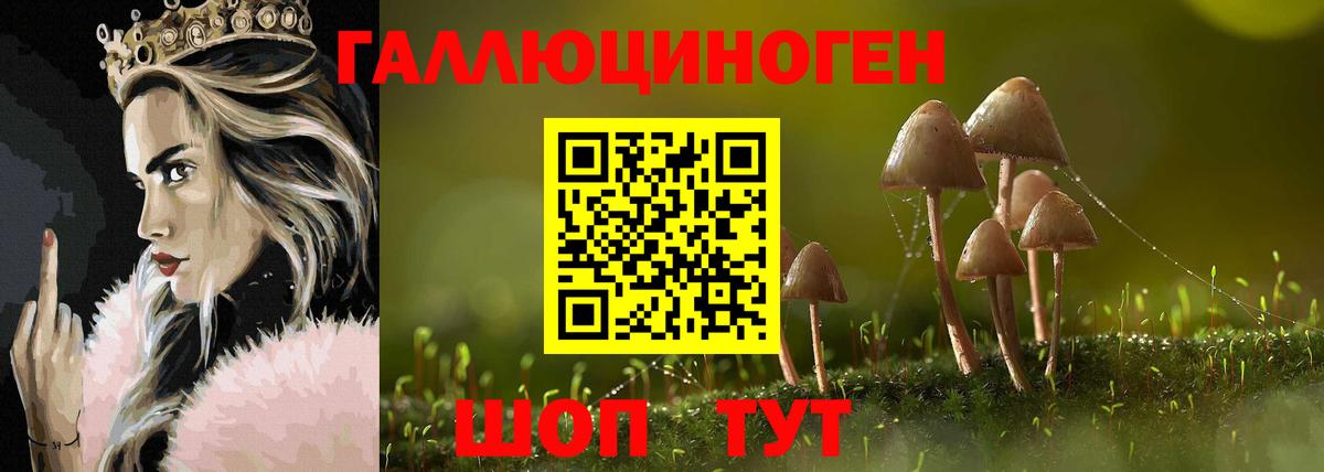 Ярославль  Псилоцибиновые грибы ЛСД  Вход с VPN 